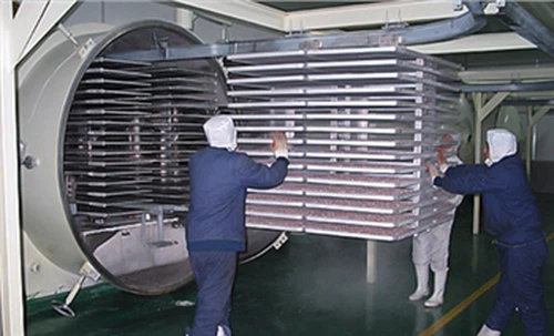 Freeze Dryer Manufacturer