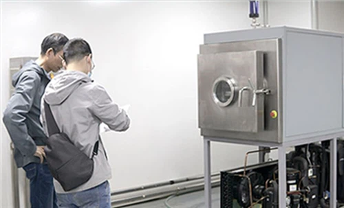 Analysis Of Factors Affecting The Speed Of Freeze Dryer