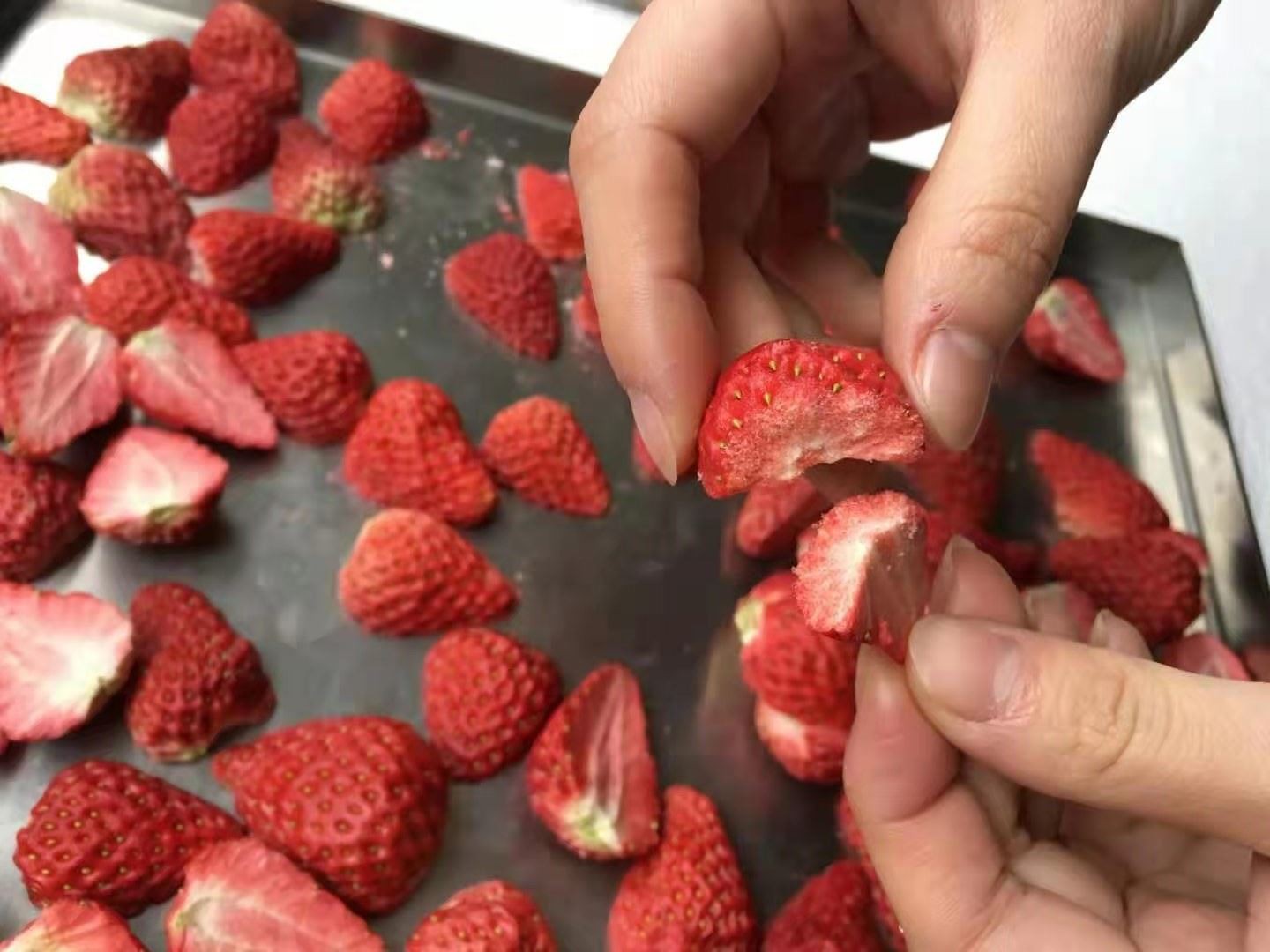FD Strawberry 2 FD Strawberry 2