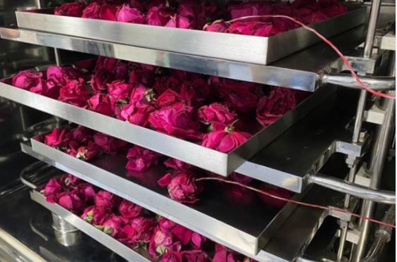 product-564-372 FD flowers 3