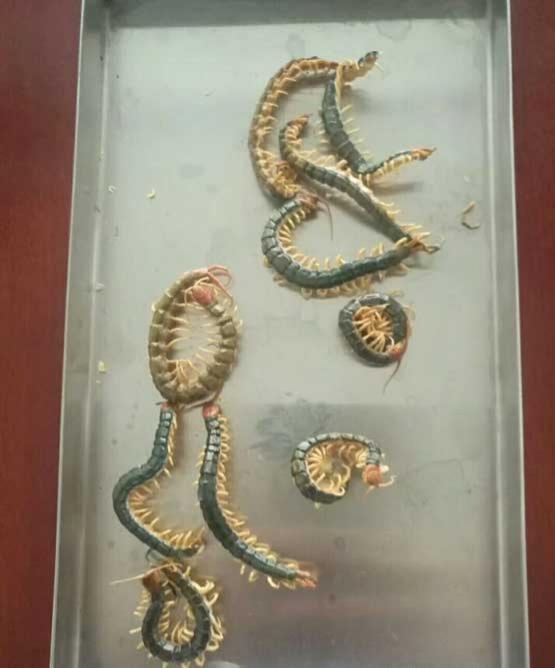 product-555-668 product-555-668
