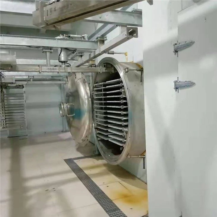 Large Advanced Vegetable Fruit Powder Freeze Dryer