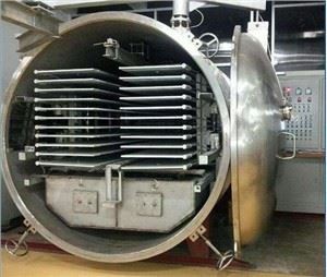 Lemon Apple Banana Ginger Freeze Dryer Supplier