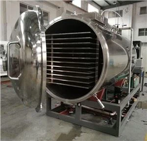 Industrial Food Freezing Dryer Affordable Freeze Dryer