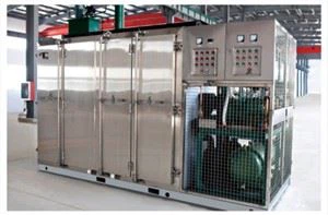 Industrial Quick Freezing Tunnel Freezer