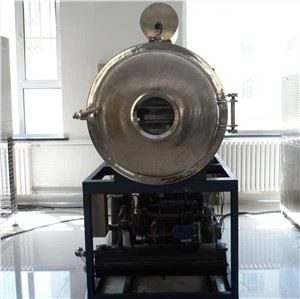 New Type Lab Freeze Dryer Fruit Dryer