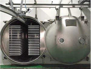 Medical And Fruit Freeze Dryer Machine