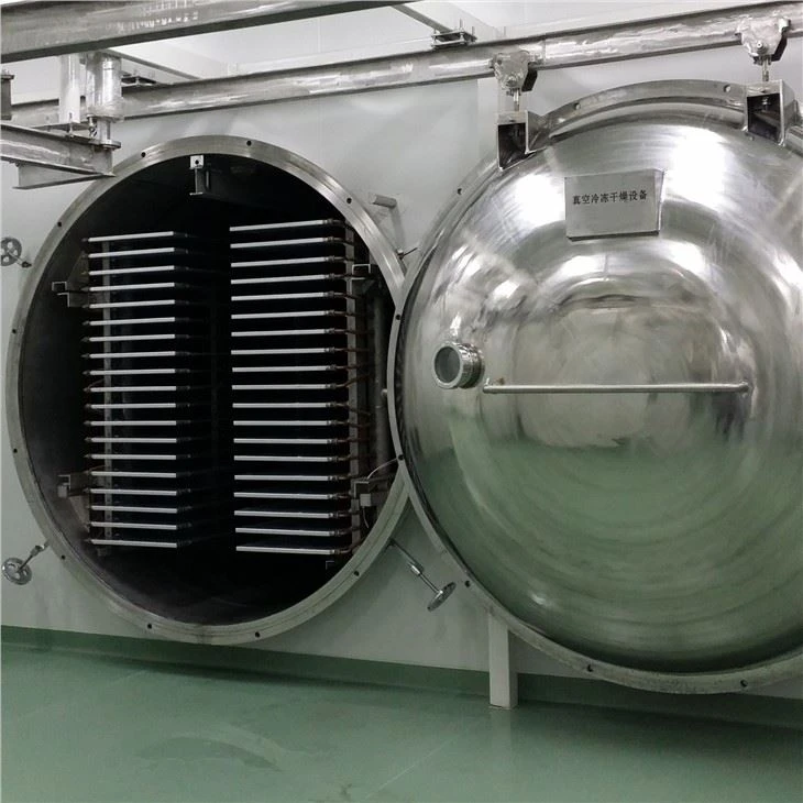China Vacuum Food Freeze Dryer factory