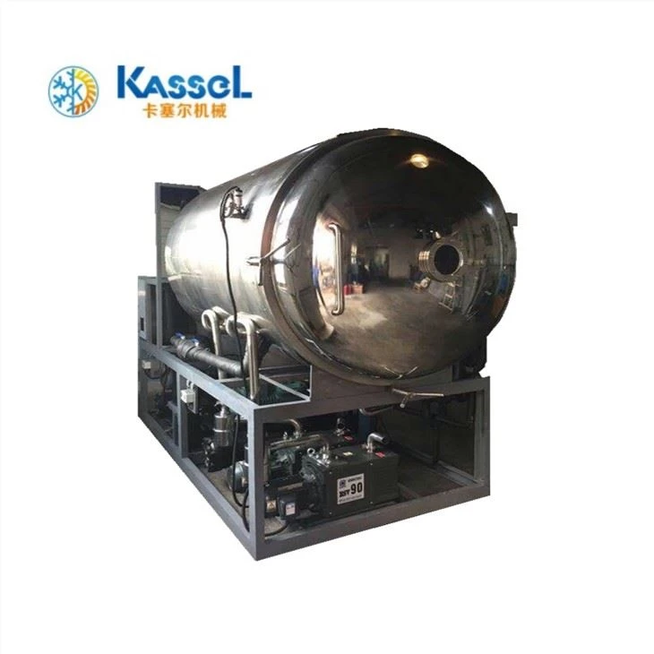 Freeze Dried Machineze Dried Blueberry