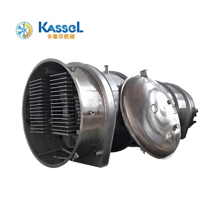 Freeze Dried Fruit And Vegetable Freeze Drying Machine