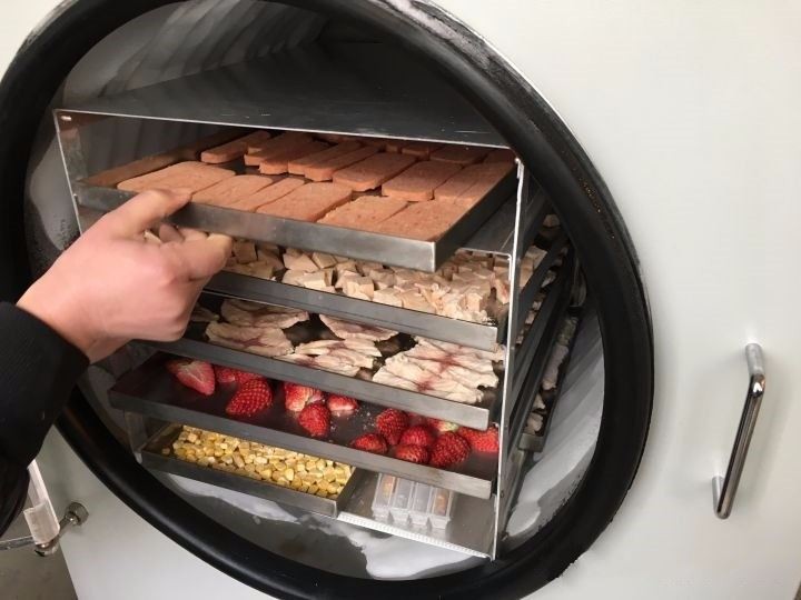 Vacuum Food Freeze Dryer wholesale