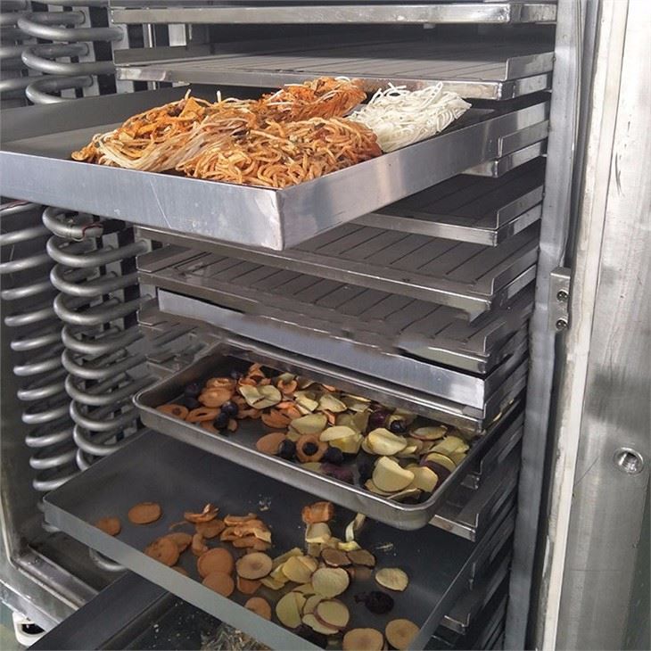 Fruit Freeze-drying Machine