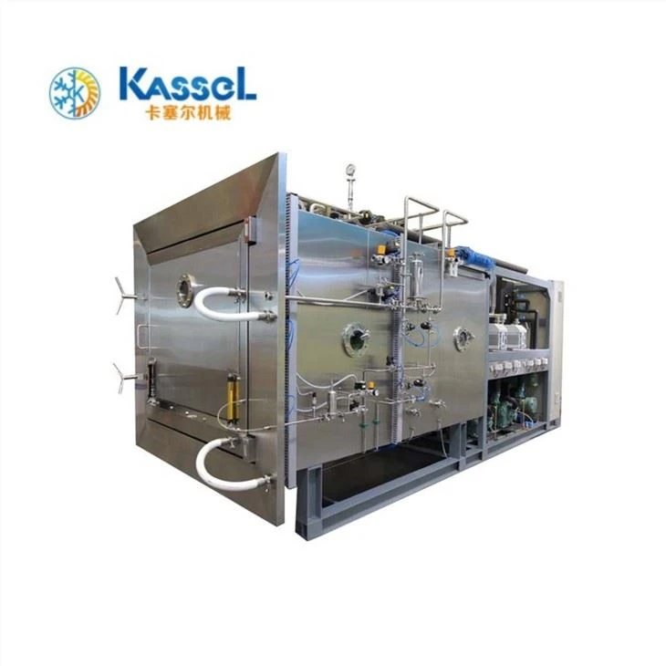 Intelligent Freeze Dryer Price