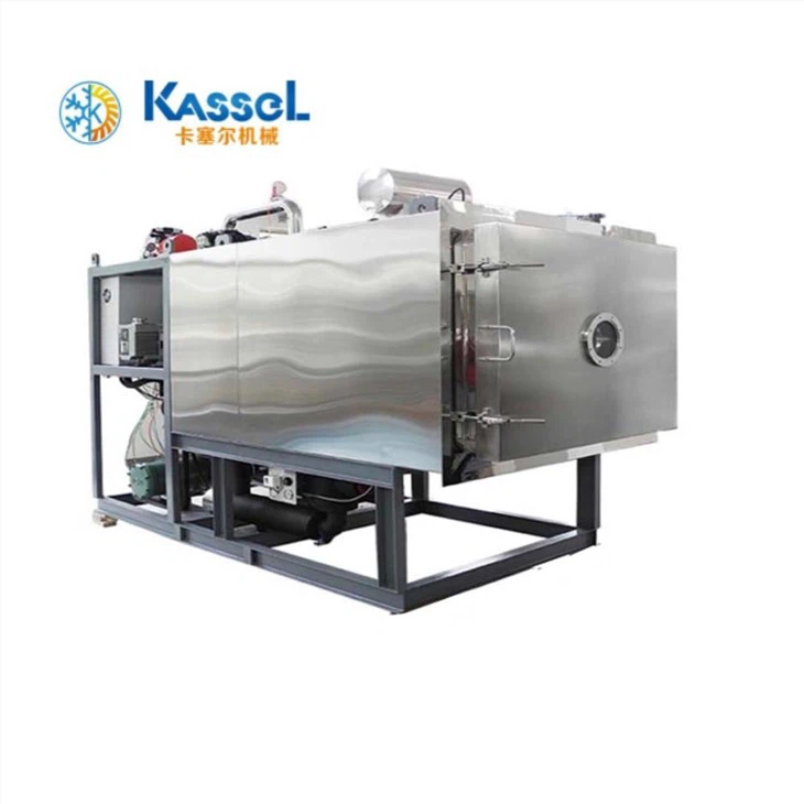 Lemon Freeze Drying Machine