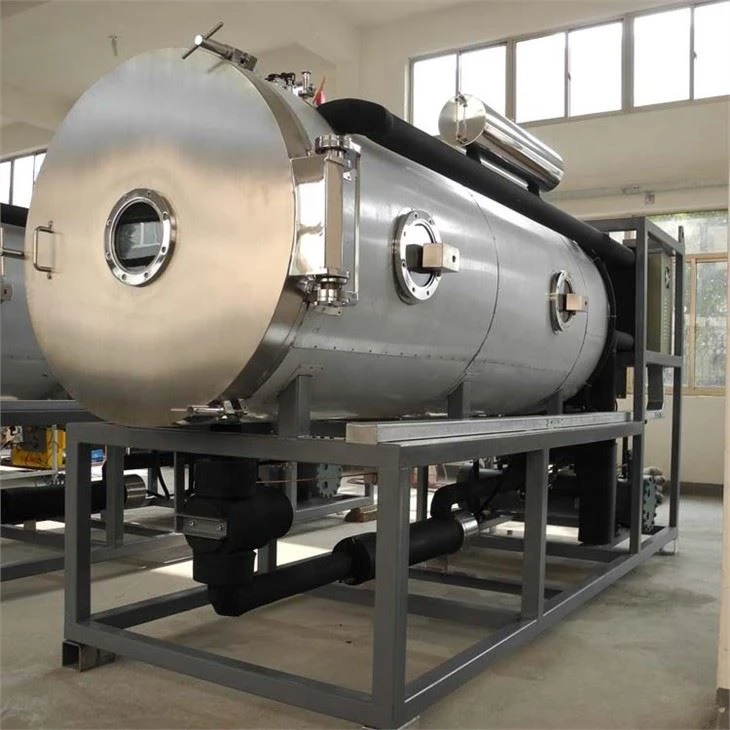 Pharmaceutical Fully Automatic Lyophilizer