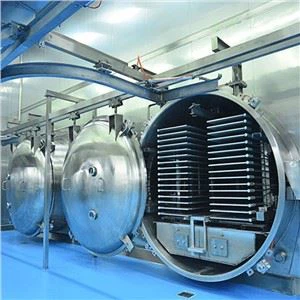 Banana Slices Vacuum Freeze Dryer Machine