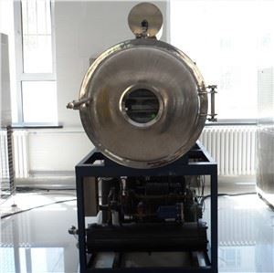 Stainless Steel Egg Powder Figs Freeze Dryer