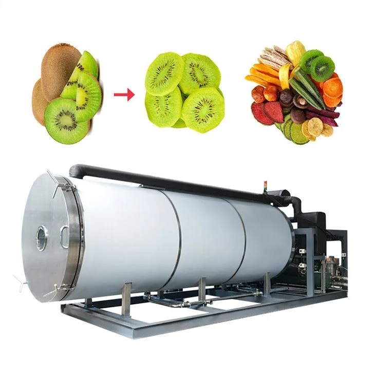 Pilot Fruit Vacuum Freeze Dryer