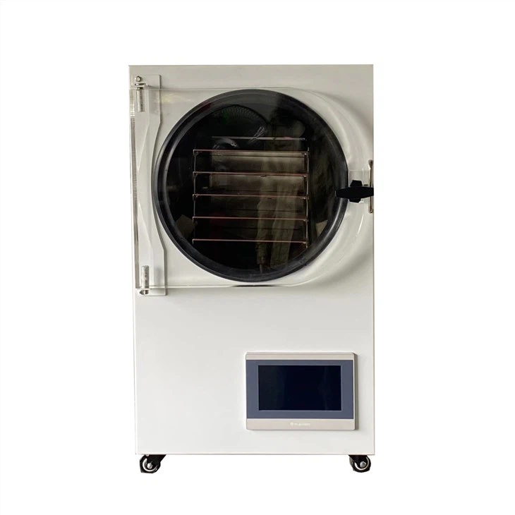 Small Household Freeze Dryer