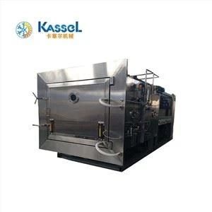 Large Blueberry Freeze Dryer