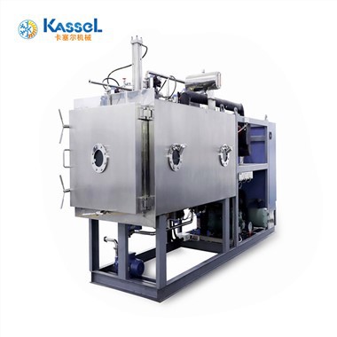 Biopharmaceutical Freeze Dryer