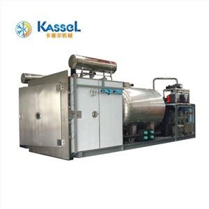 Condenser For Pharmaceutical Vacuum Freeze Dryer