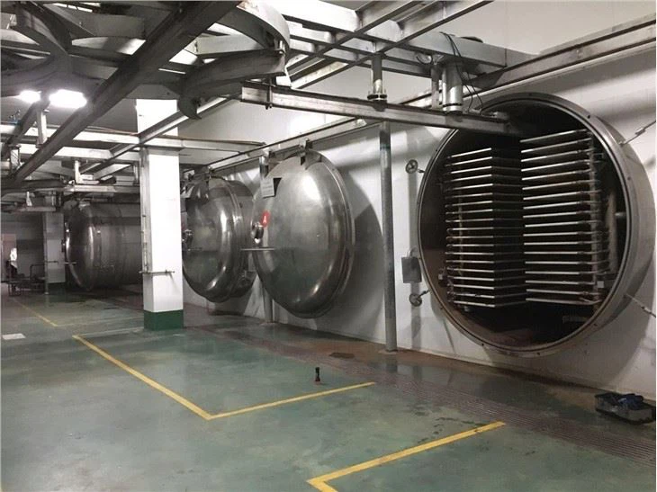 Vacuum Food Freeze Dryer wholesale