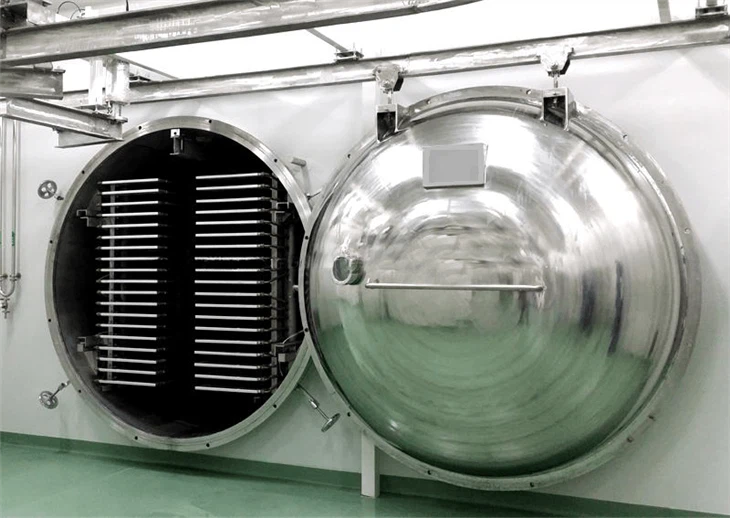 Blueberries freeze dried machine